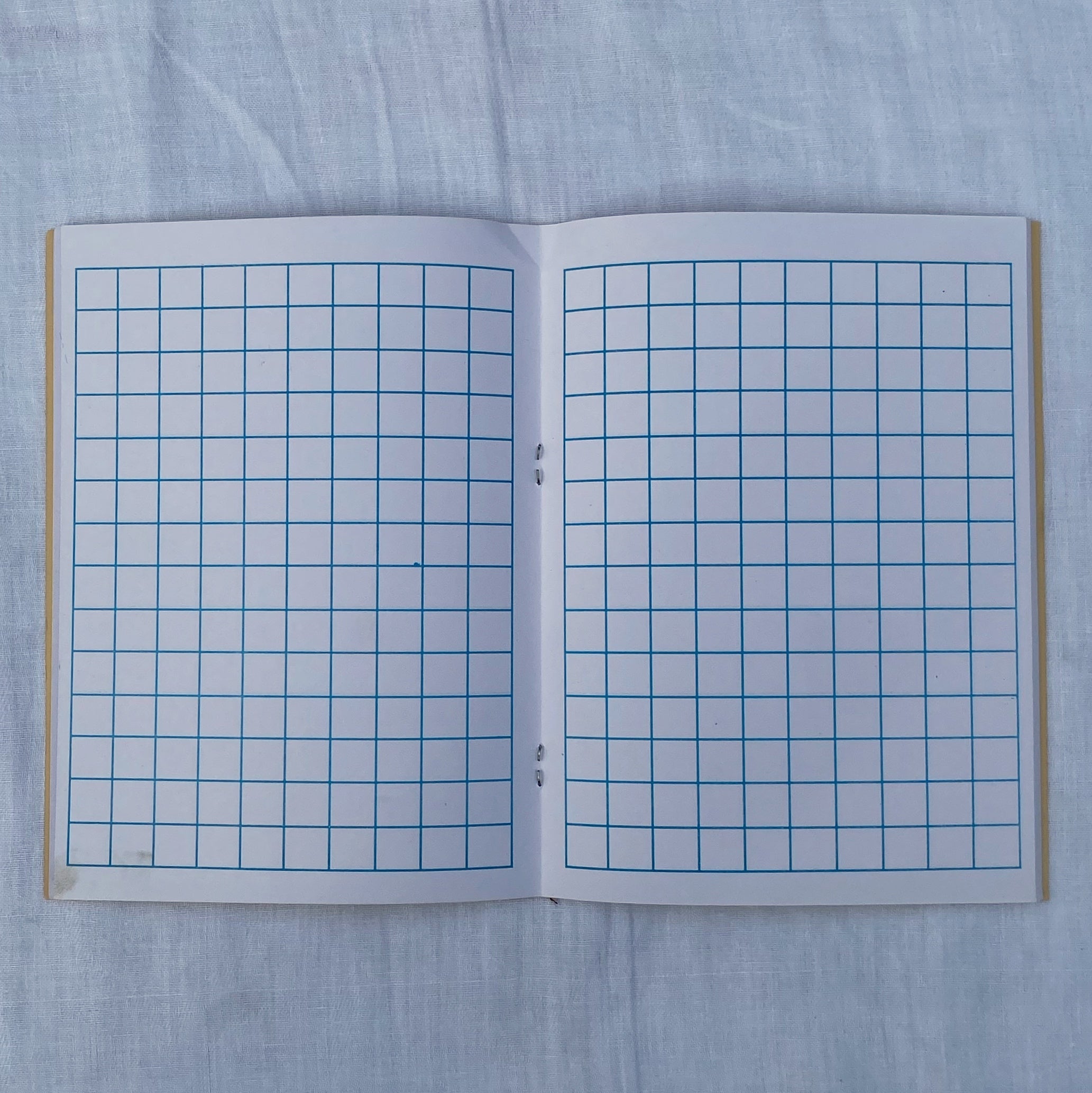Big Square (Math) Notebook